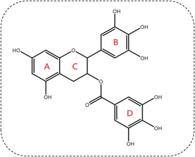 Epigallocatechin-3-gallate: A phytochemical as a promising drug candidate for the treatment of Parkinson’s disease